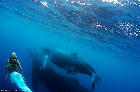 Real Life Mermaid Swims With Whales Using Very Own Fish Tail And