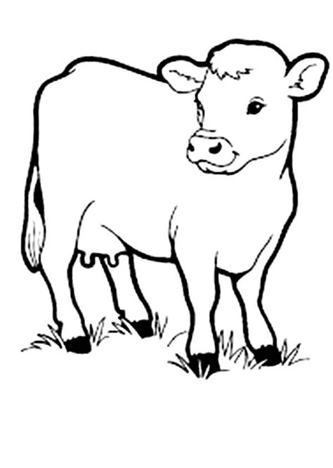 Coloring Pages Of Baby Cows Coloring Page Cow Coloring Pages