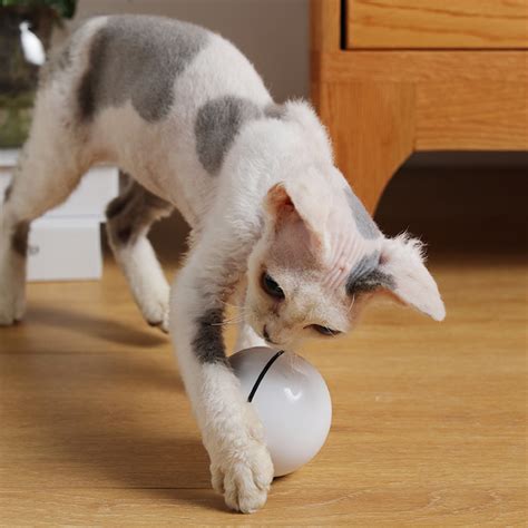 Automatic Cat Ball Toy Moving Cat Interactive Toys