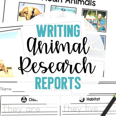 Writing Animal Reports In The Primary Grades The Teacher Bag