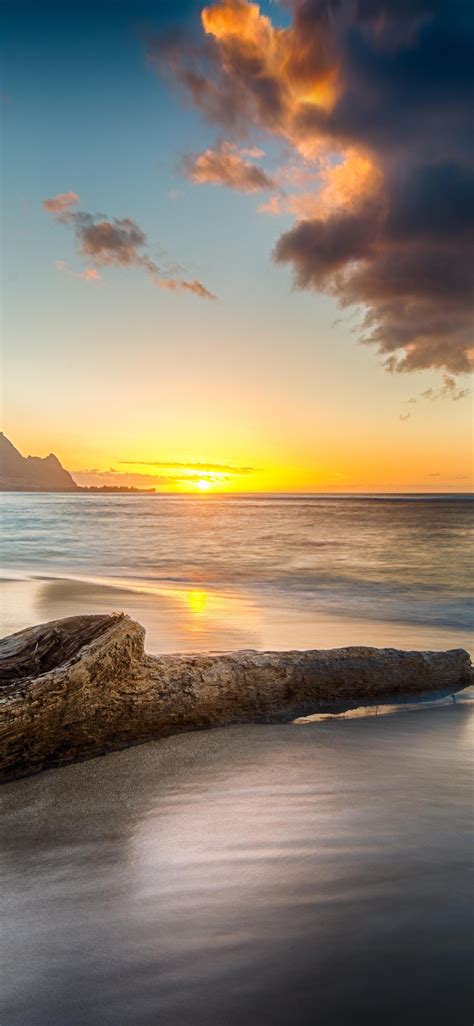 1125x2436 Driftwood On Beach At Sunset On North Shore Of Kauai 8k