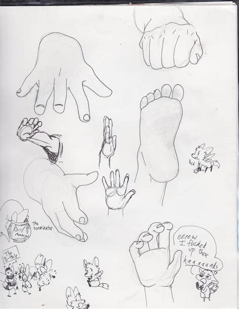 Hand And Feet Sketches By Fairy Pumpkin Fox On Deviantart