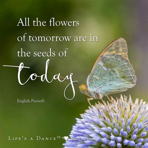 All The Flowers Of Tomorrow Are In The Seeds Of Today Butterfly