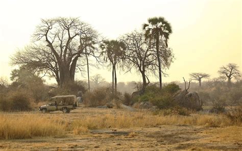 ruaha national park tanzania safaris expert africa