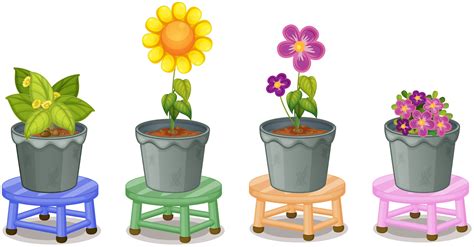 Various Potted Plants 361456 Vector Art At Vecteezy