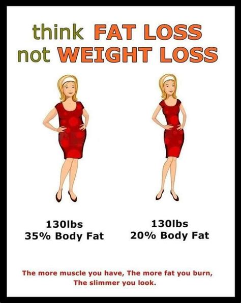 Weight Versus Fat Loss They Are Not The Same Thing