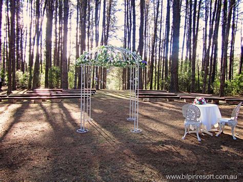 Wedding Gallery Bilpin Resort Pine Forest Wedding