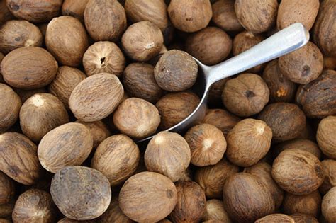 The Blood-Soaked History of Nutmeg | Owlcation