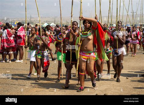 Zulu Maidens Deliver Reed Sticks To The King Zulu Reed Dance At