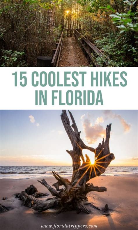 15 Coolest Hikes In Florida Hiking In Florida Florida Travel