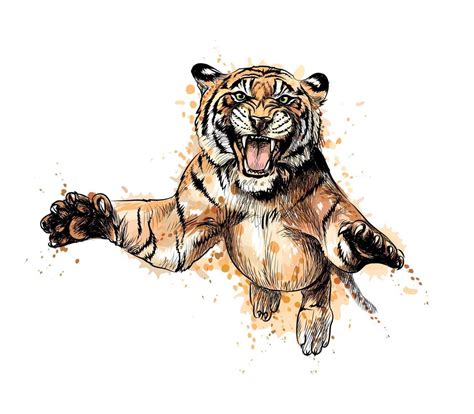Portrait Of A Tiger Jumping From A Splash Of Watercolor Hand Drawn