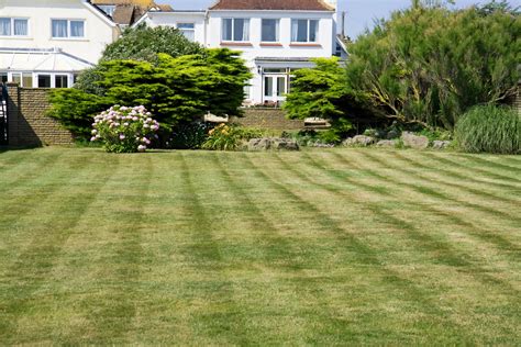 Mowed Garden Lawn Free Stock Photo Public Domain Pictures