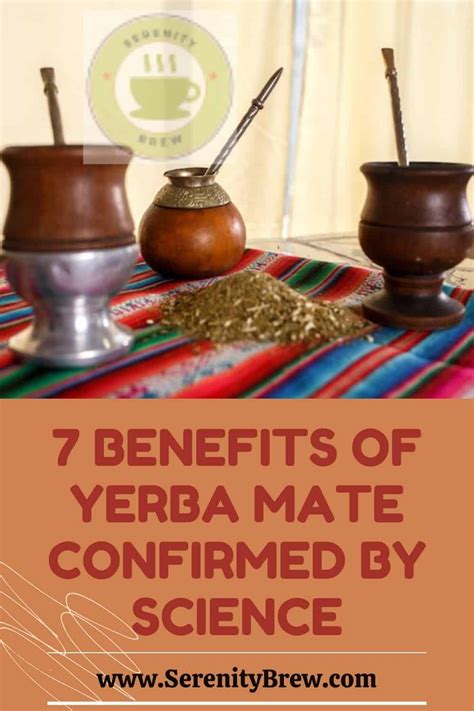 7 Benefits Of Yerba Mate Confirmed By Science Serenity Brew