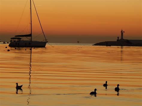 Istanbul Evening Sunset Ports Sunlight Turkey Yachts Yellow