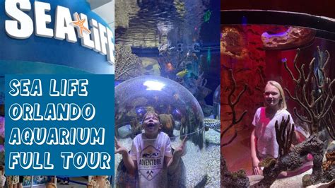 Sea Life Orlando Aquarium Full Tour Youtube