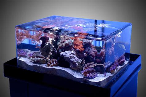 Zeroedge 22zr Aquarium Systemcustom Aquariums Fish Tanks And Filtration
