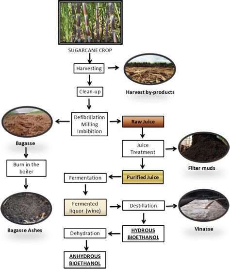 Flowchart Of The Bioethanol Production Process And The Respective Waste