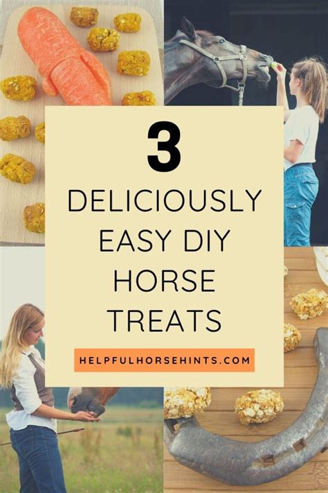 3 Deliciously Easy Diy Horse Treats Helpful Horse Hints