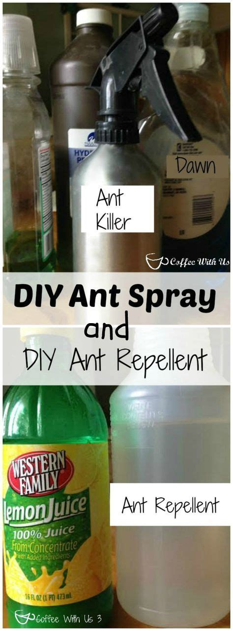 Do it yourself ant spray. DIY Ant spray & Ant Repellent using common household items. Get rid of those ants and keep them ...