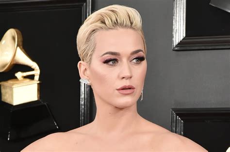 Katy Perry Accused Of Exposing Model Josh Kloss Penis At Party