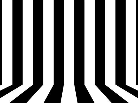 49 Black And White Stripe Wallpaper