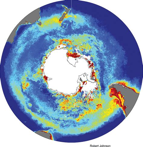 Measuring Phytoplankton From Space — Australian Antarctic Program