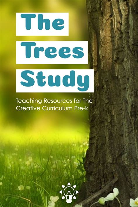 These Preschool Teaching Resources For The Trees Study From Creative