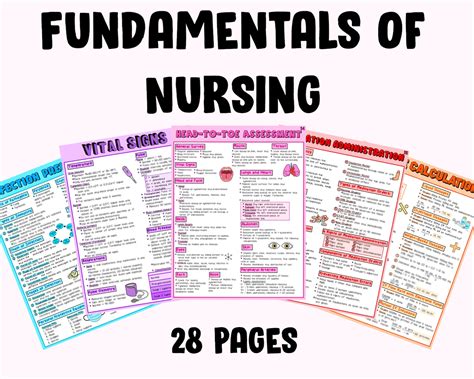 Nursing Fundamentals Study Guide Nursing Notes Etsy