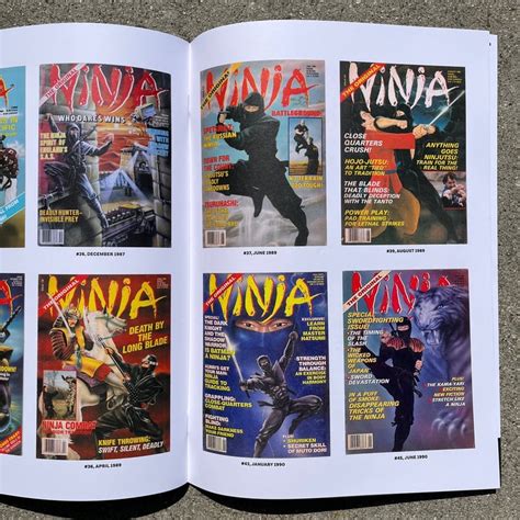 Ninja Master The Ninja Magazine Art Of Beirne Lowry Secret Headquarters