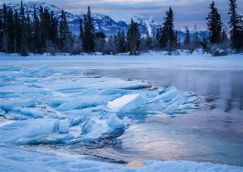 Whitehorse In Winter 9 Reasons You Should Visit Hike Bike Travel