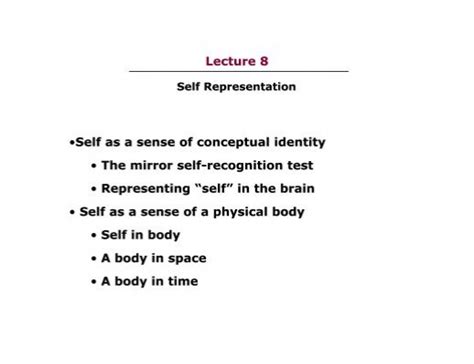 Lecture 8 â ¢self As A Sense Of Conceptual Identity â ¢ The Mirror Self
