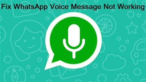 Top 9 Fixes For Whatsapp Voice Message Not Working Issue