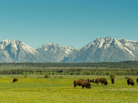 Seeing The Source Bfa Members Explore The Northern Great Plains Blog