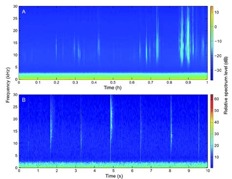 Example Of A Long Term Spectral Average Ltsa And B Spectrogram