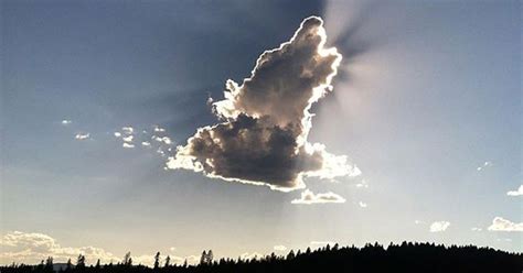 22 Photos Of Clouds That Looks Like Something Totally Different Dog
