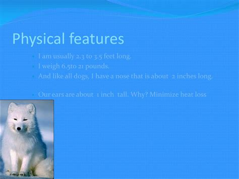 Ppt Arctic Fox Powerpoint Presentation Free Download Id2530554