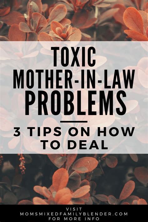 toxic mother in law problems 3 tips on how to deal mother in law problems mother in law law