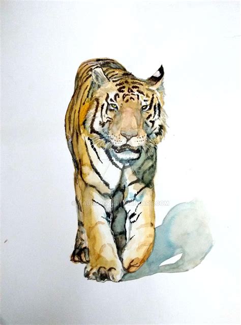 Watercolour Tiger By Gauravd24 On Deviantart