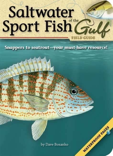 Buy Saltwater Sport Fish Of The Gulf Field Guide Fish Identification