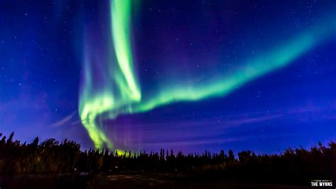 Aurora Alaska S Great Northern Lights Shelly Lighting