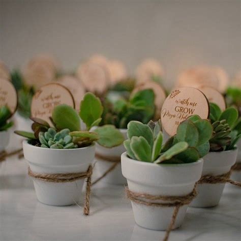 30 Succulent Wedding Favors Succulent Bridal Shower Favor Etsy