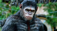 Review: ‘Dawn of the Planet of the Apes’ is a 45-minute Film Padded ...
