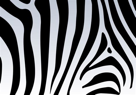 Zebra Print Vector Background Download Free Vectors Clipart Graphics