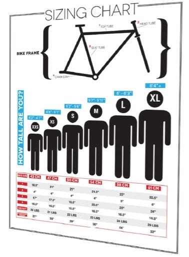 Maybe you would like to learn more about one of these? Bike Fitting vs. Bike Sizing: Two Pivotal Aspects of ...