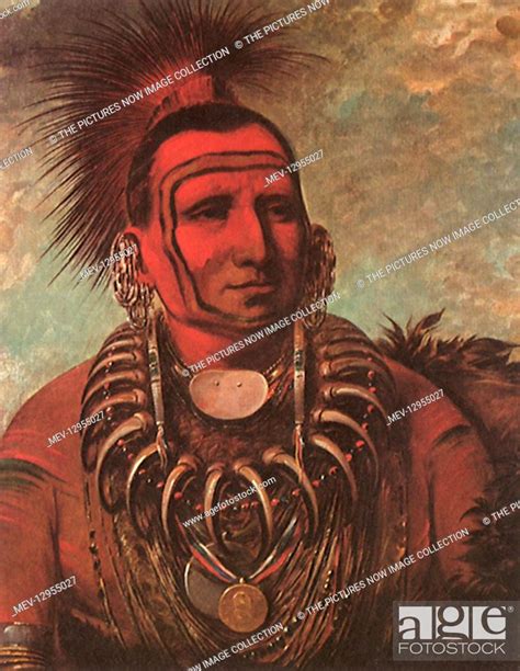 Cheyenne Indian Chief Little Wolf 1834 Stock Photo Picture And Rights