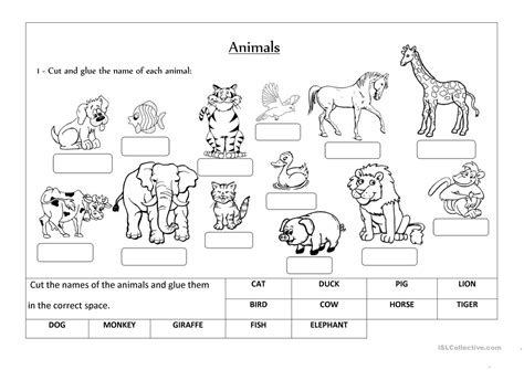 animals label  classify worksheet  esl printable