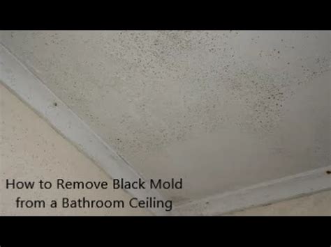 It's not going to be the magic solution to your it might also be beneficial to use this paint on the ceiling and the floor. How to Remove Black Mold from a Bathroom Ceiling - YouTube