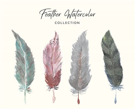Premium Vector Beautiful Feather Watercolor Collection