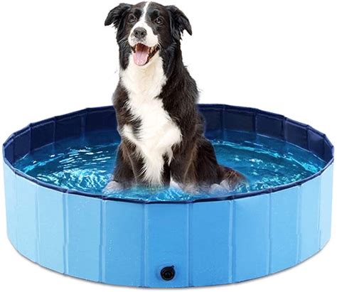 Collapsible Dog Swimming Pool Hd Dog Training