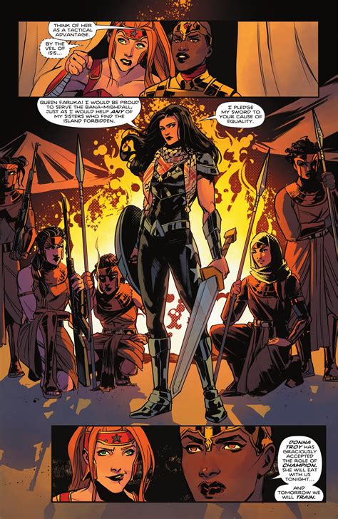 [comic Excerpt] Donna Troy Pledges Her Sword And Has Accepted To Be The Champion Of Wonder